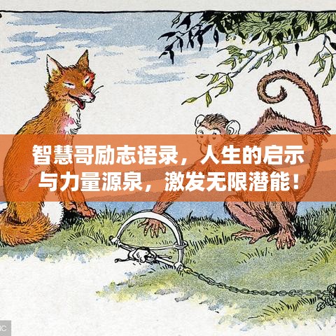 智慧哥励志语录，人生的启示与力量源泉，激发无限潜能！