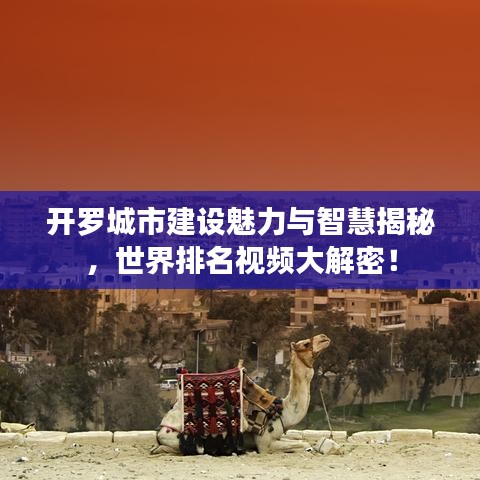 闻所未闻