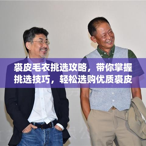 瞻云就日