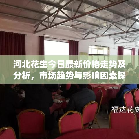 河北花生今日最新价格走势及分析，市场趋势与影响因素探讨