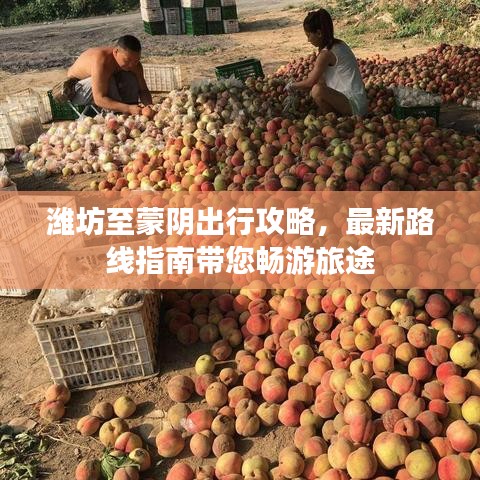 潍坊至蒙阴出行攻略，最新路线指南带您畅游旅途