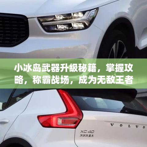 小冰岛武器升级秘籍，掌握攻略，称霸战场，成为无敌王者！