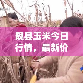 2025年6月19日 第34页
