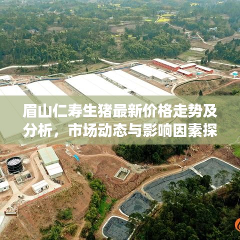 眉山仁寿生猪最新价格走势及分析，市场动态与影响因素探讨