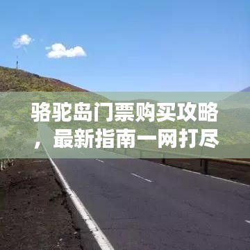 2025年6月19日 第29页