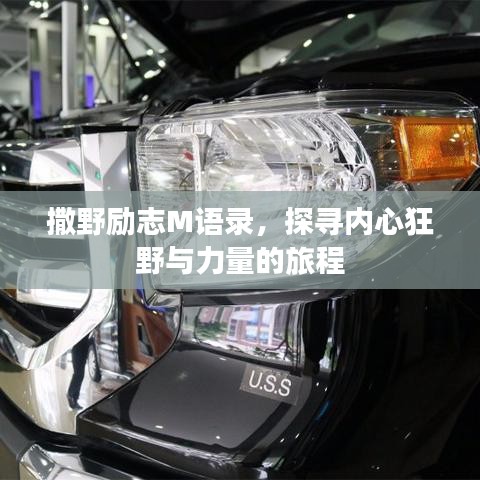 龙马精神