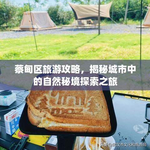 小鸟依人