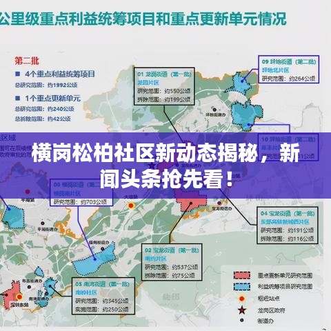 横岗松柏社区新动态揭秘，新闻头条抢先看！