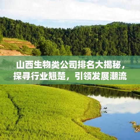 山西生物类公司排名大揭秘，探寻行业翘楚，引领发展潮流