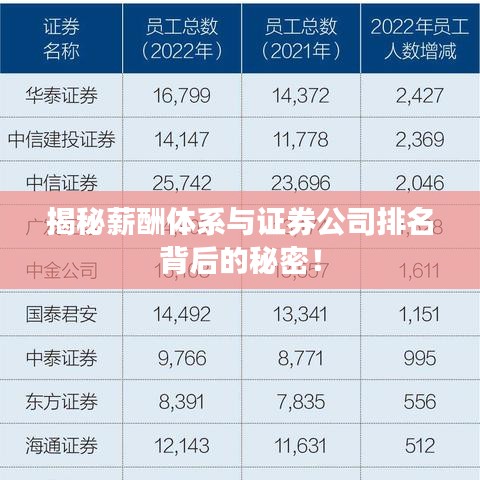 揭秘薪酬体系与证券公司排名背后的秘密！