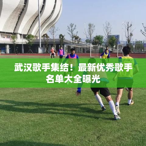 武汉歌手集结！最新优秀歌手名单大全曝光
