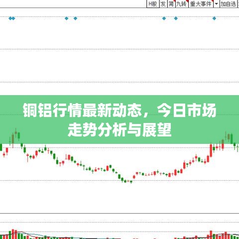 铜铝行情最新动态，今日市场走势分析与展望