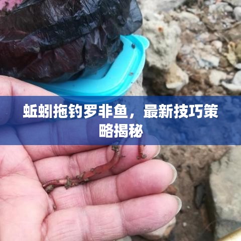 蚯蚓拖钓罗非鱼，最新技巧策略揭秘