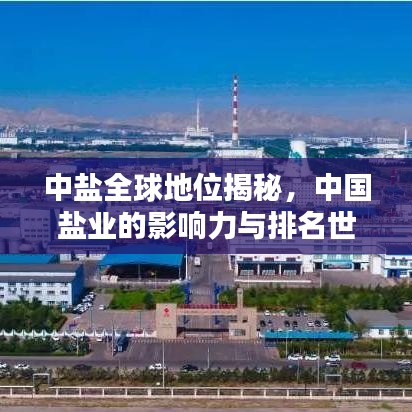 中盐全球地位揭秘，中国盐业的影响力与排名世界之巅
