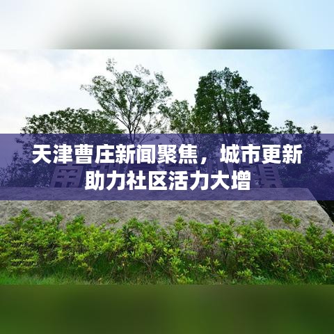 2025年6月20日 第4页