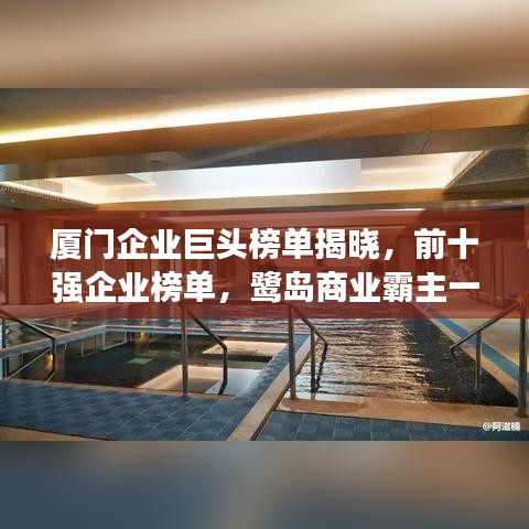 厦门企业巨头榜单揭晓，前十强企业榜单，鹭岛商业霸主一览无余