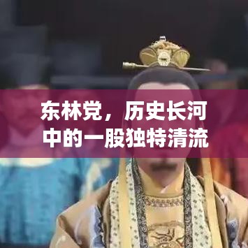 东林党，历史长河中的一股独特清流