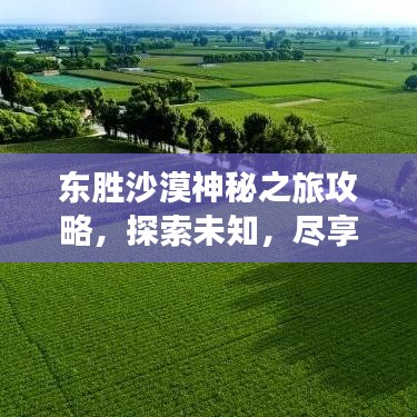 东胜沙漠神秘之旅攻略，探索未知，尽享沙漠风情！