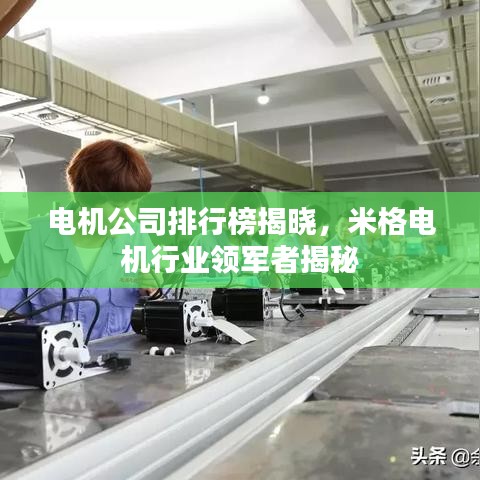 电机公司排行榜揭晓，米格电机行业领军者揭秘