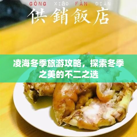 凌海冬季旅游攻略，探索冬季之美的不二之选