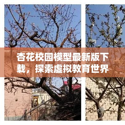 笔走如飞
