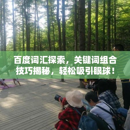 百度词汇探索，关键词组合技巧揭秘，轻松吸引眼球！