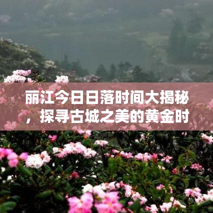 布衣蔬食