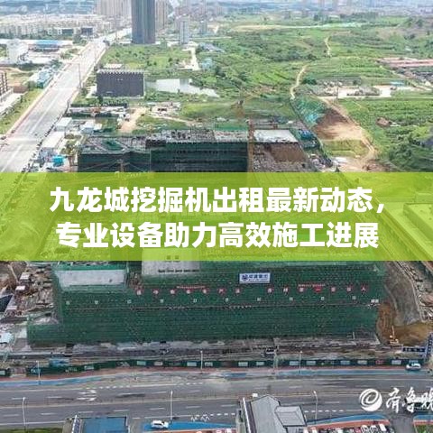 九龙城挖掘机出租最新动态，专业设备助力高效施工进展