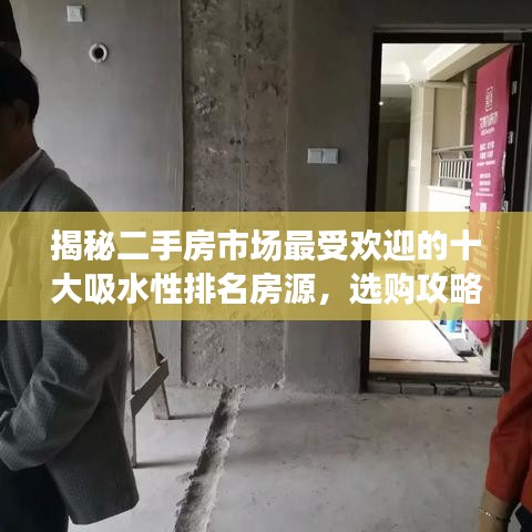揭秘二手房市场最受欢迎的十大吸水性排名房源，选购攻略大解密！
