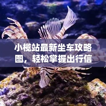小榄站最新坐车攻略图，轻松掌握出行信息，助你畅游无忧！