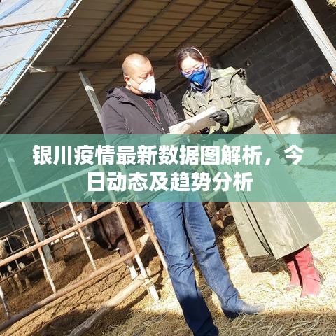 银川疫情最新数据图解析，今日动态及趋势分析