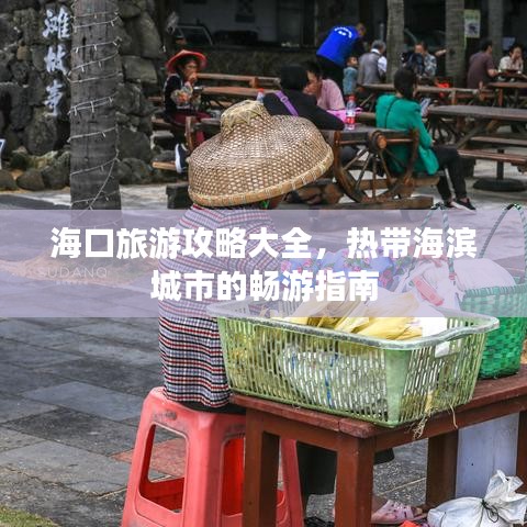 海口旅游攻略大全，热带海滨城市的畅游指南