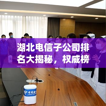 湖北电信子公司排名大揭秘，权威榜单，不容错过！