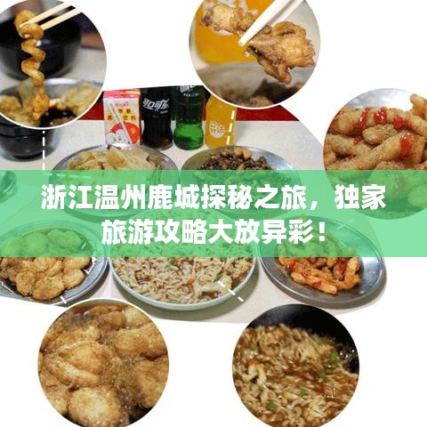 浙江温州鹿城探秘之旅，独家旅游攻略大放异彩！