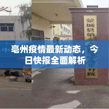 亳州疫情最新动态，今日快报全面解析