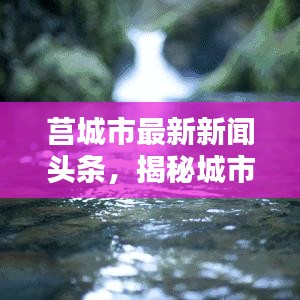 莒城市最新新闻头条，揭秘城市新动态