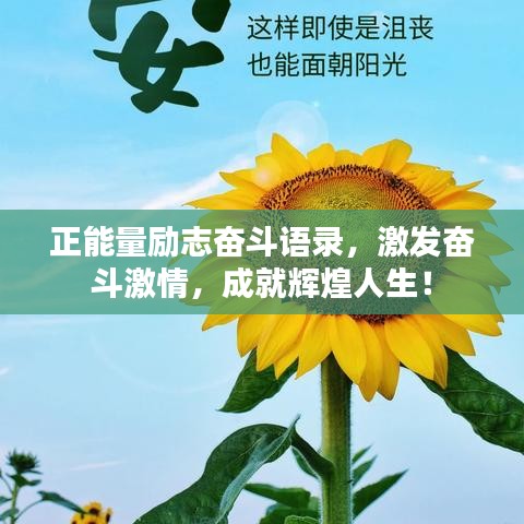 正能量励志奋斗语录，激发奋斗激情，成就辉煌人生！