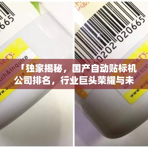 「独家揭秘，国产自动贴标机公司排名，行业巨头荣耀与未来趋势展望」
