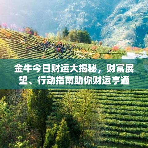 金牛今日财运大揭秘，财富展望、行动指南助你财运亨通
