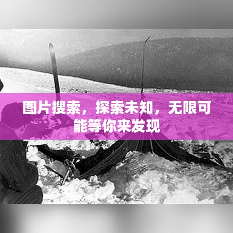 图片搜索，探索未知，无限可能等你来发现