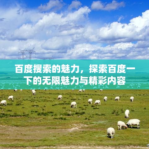 百度搜索的魅力，探索百度一下的无限魅力与精彩内容