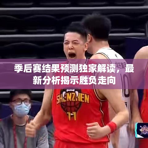 季后赛结果预测独家解读，最新分析揭示胜负走向