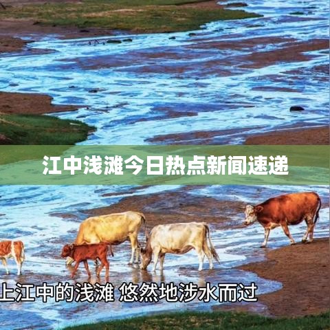 江中浅滩今日热点新闻速递