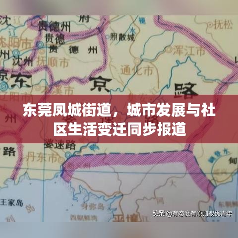 东莞凤城街道，城市发展与社区生活变迁同步报道