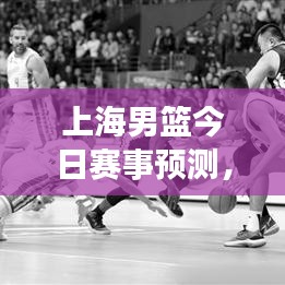 上海男篮今日赛事预测，深度分析与未来展望