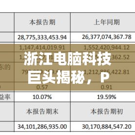浙江电脑科技巨头揭秘，PC公司排名及行业佼佼者探索