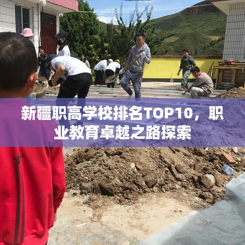 新疆职高学校排名TOP10，职业教育卓越之路探索