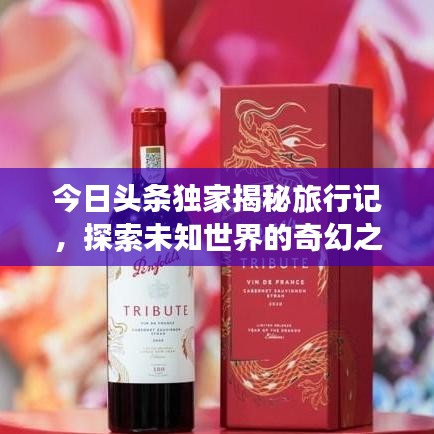 今日头条独家揭秘旅行记，探索未知世界的奇幻之旅