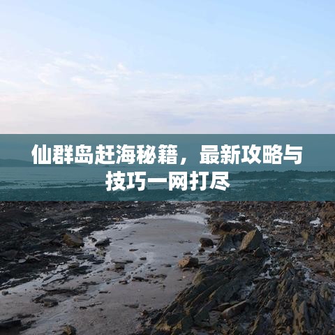 仙群岛赶海秘籍，最新攻略与技巧一网打尽
