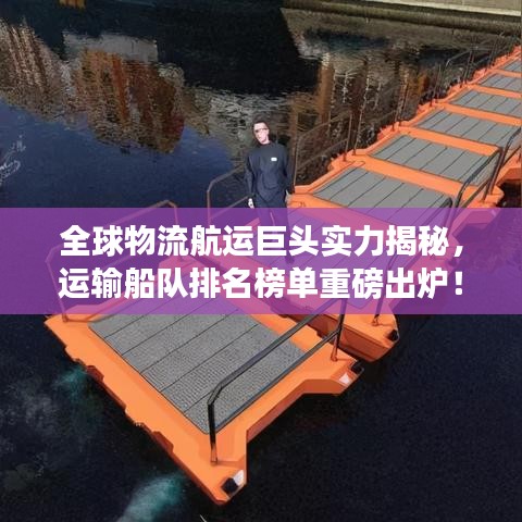 全球物流航运巨头实力揭秘，运输船队排名榜单重磅出炉！